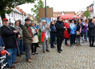 AfD Kundgebung (10).jpg