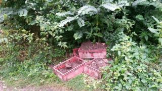 20160724_100618_resized_2.jpg