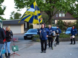 Maibaum 2017 (4).jpg