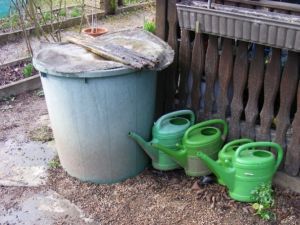 Regentonnen und Gieskannen in einem Garten
