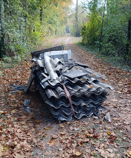 Eternitplatten liegend im Wald