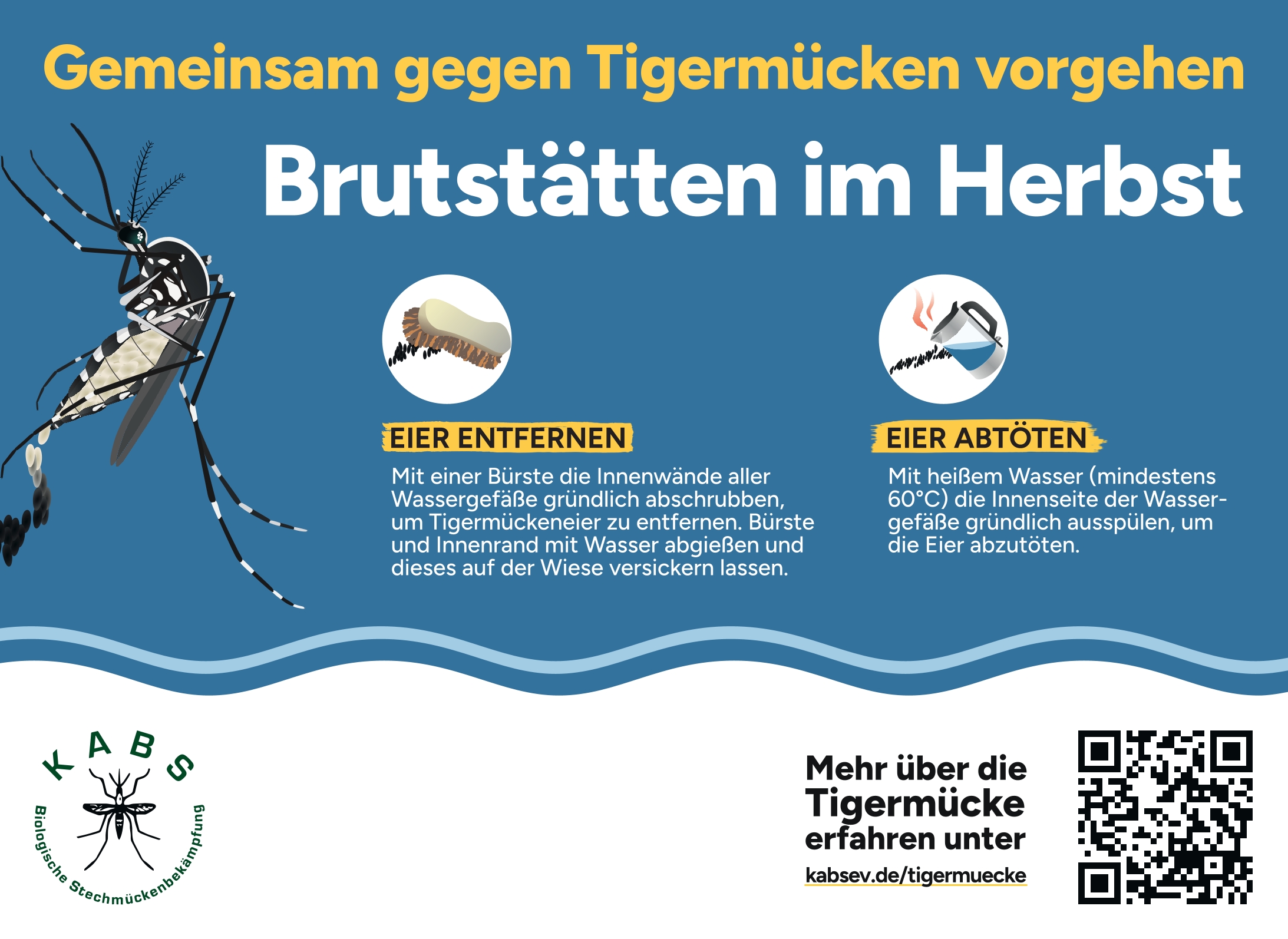 Flyer der KABS
